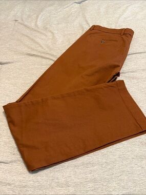 GAP Men's Chinos in Rust